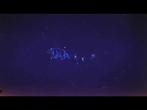 Big Bear In The Sky (Official)