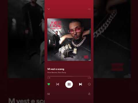 Enzo Dong - M vest e sceng- w/Enzo Barone