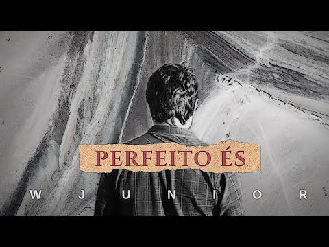 Perfeito És video