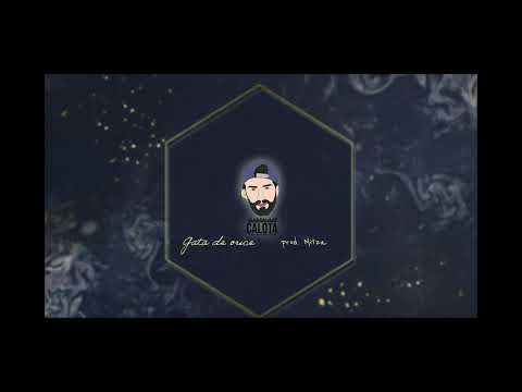 CALOTA - GATA DE ORICE