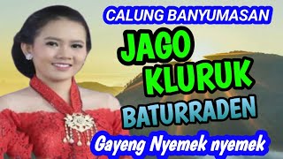 Download lagu JAGO KLURUK CALUNG BANYUMASAN GAYENG NYEMEK NYEMEK KAGEM JAMPI SAYAH. mp3