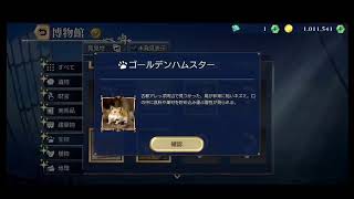 【大航海時代6】交易・冒険船の上げ方を教えます！R・スカーレット（うたね太郎）のウミロク実況プレイ日記＃18