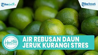 Minum Air Rebusan Daun Jeruk Nipis Bagus untuk Kesehatan Tubuh: Anti Peradangan dan Mengurangi Stres