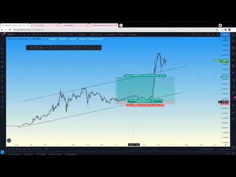 Trader Erkhemee webinar 2021/05/10