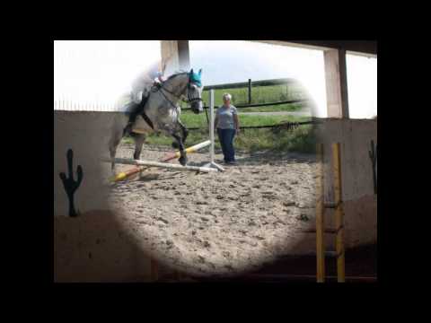 Soulfly bei seiner größten Leidenschaft