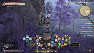 【FF14】蒼メッシュミコッテののんびりヒカセン
