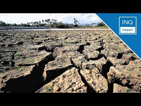 El Niño effects could make 2024 ‘one of the warmest years on record’ – Pagasa