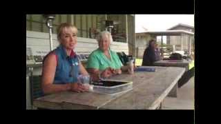 preview picture of video 'The Maleny Dairies Tour....from the cow to the bottle.'