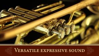 Video thumbnail for Bach LR19043B Mariachi Trumpet by Woodwind & Brasswind is now Music & Arts