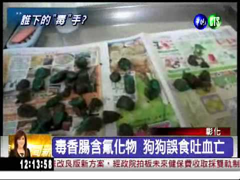 毒香腸當餌 22流浪狗暴斃