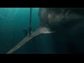 The Meg 2018 The Beach Attack