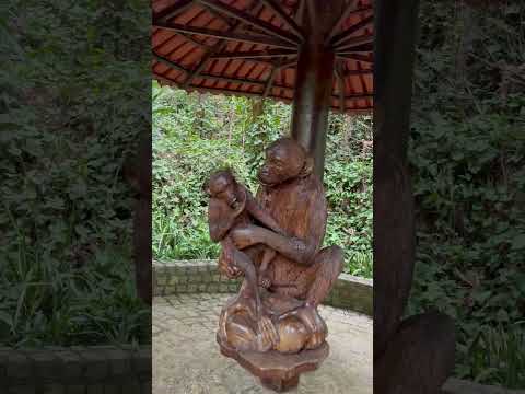 Gonzaga - Cachoeira Recanto do Rosalvo. #CachoeiraDoRosalvo #GonzagaMG #TurismoMinasGerais