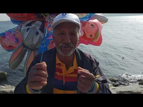 Happy birthday Jadranka