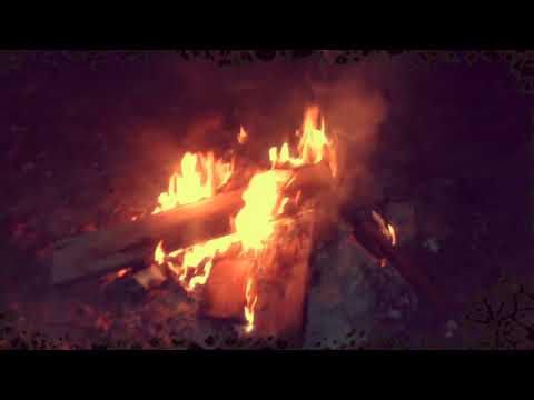 TEAM TRA$H- NOCTURNAL (OFFICIAL MUSIC VIDEO)