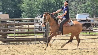 Ride Like a Pro with Mordy Rosenberg: Enjoy Horseback Riding, Ranch Fun, Petting Zoo, and More!