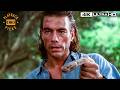 Jean Claude Van Damme Sets A Trap Using A Snake Hard Target