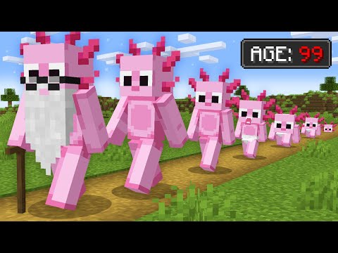 Minecraft, But Your Damage = Your AGE!