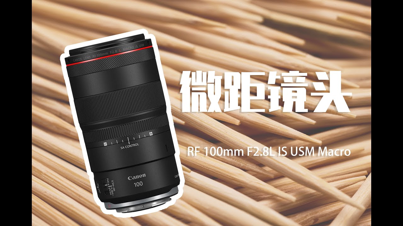真香还是劝退？佳能RF100mm F2.8L IS Macro微距镜头上手使用体验