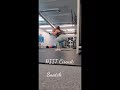 Morning Workout Routine Come To The Gym With Me Curvy Girl Gym Routine