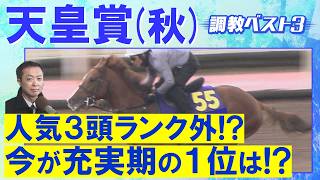 「スムーズに繋がる加速！」クロワデュノール、マスカレードボール、ダノンデサイル・・・競馬エイト・高橋賢司トラックマンの調教解説＜天皇賞(秋)ＧⅠ＞