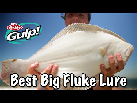 Using Gulp to Catch a Giant Fluke From Shore! (Best Fluke/Flounder Lure and Technique For Keepers)