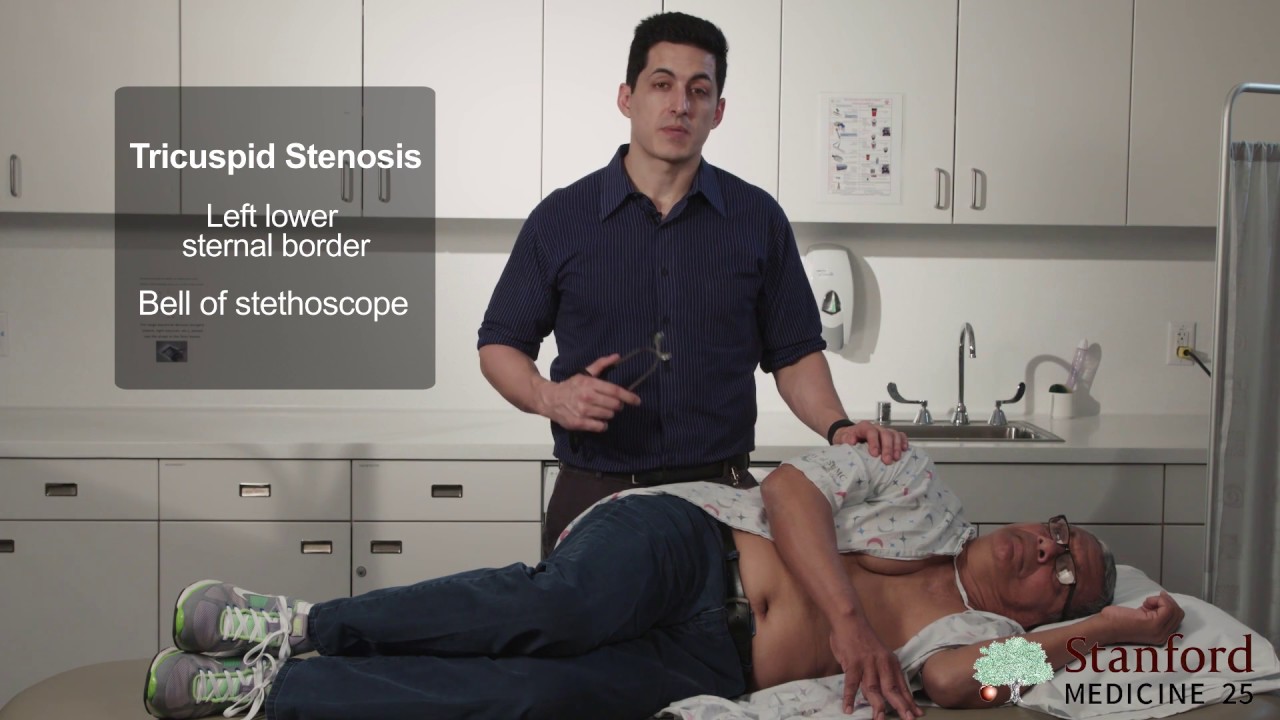 Approach to the Exam of Diastolic Murmurs (Real Patient and Sounds!) - Stanford Medicine 25