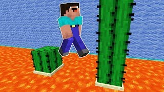 ТРОЛЛИНГ ПАРКУР ДЛЯ НУБА В МАЙНКРАФТ ! НУБ ПРОТИВ СЛОЖНЫЕ ИСПЫТАНИЯ MINECRAFT Мультик