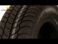 Osobní pneumatika Sava Eskimo S3 205/55 R16 91T