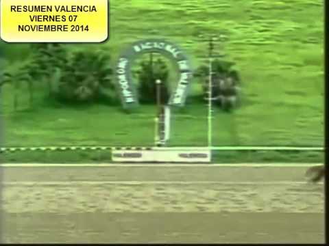 RESUMEN VALENCIA VIERNES 07 NOVIEMBRE 2014