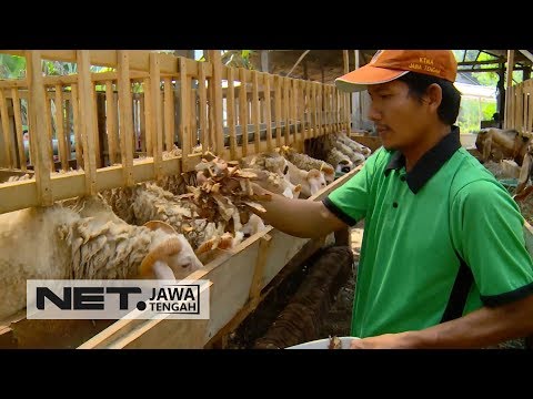 Nama pencetus wanita yang kuat Agen toko untuk impotensi