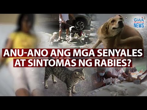 Anu-ano ang mga senyales at sintomas ng rabies? Need to Know