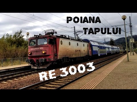 Trenul🚂 Regio RE 3003 Bucuresti - Brasov in statia ⛰️ Poiana Tapului