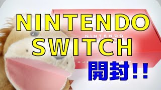 NINTENDO SWITCH(ニンテンドースイッチ)開封！起動から初期設定まで！