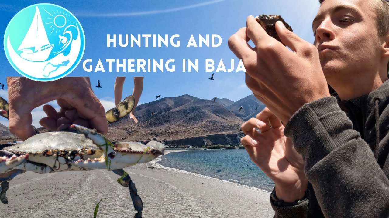 Finding a feed in the mangroves in Baja Mexico | Ep 362