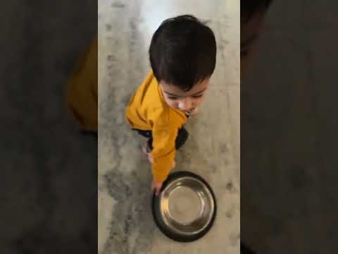 Kanav & oscar  fun time