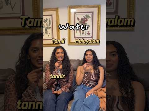 Malayalam vs Tamil! #tamilshorts #malayalam #india #indiashorts
