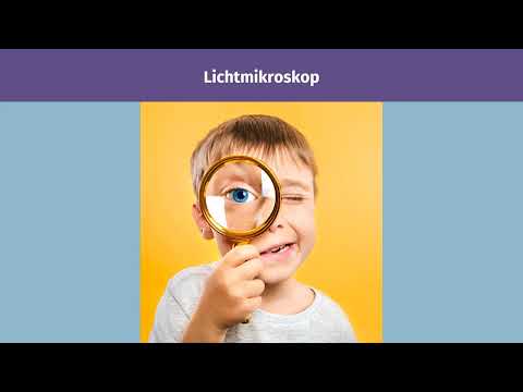 Mikroskop – Aufbau und Handhabung einfach erklärt | sofatutor