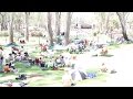 The Whitlams - No Aphrodisiac (Live at Riverboats ...