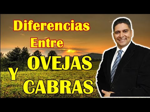OVEJAS y CABRAS: Conoce sus GRANDES Diferencias