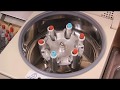 Centrifuging Separating Blood