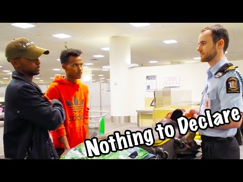 Nothing To Declare NZ S11E04 Customs Border Patrol Airport