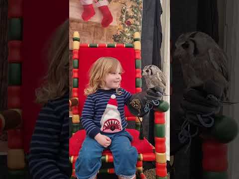 Bird-Loving Boy Bonds With Owl