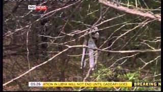 The most golf shots taken on a par 4 hole