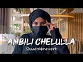 Ambili Chelulla Slowed Reverb Vibe Soul 2 0