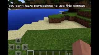 How to make your own Minecraft pocket edition server: free and easy.