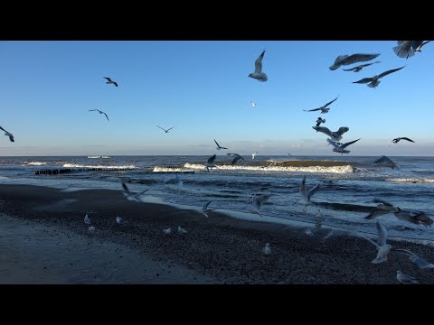 Jak spędzamy święta Bożego Narodzenia nad Bałtykiem w Mielnie. Rozmawiamy z mieszkańcami i turystami