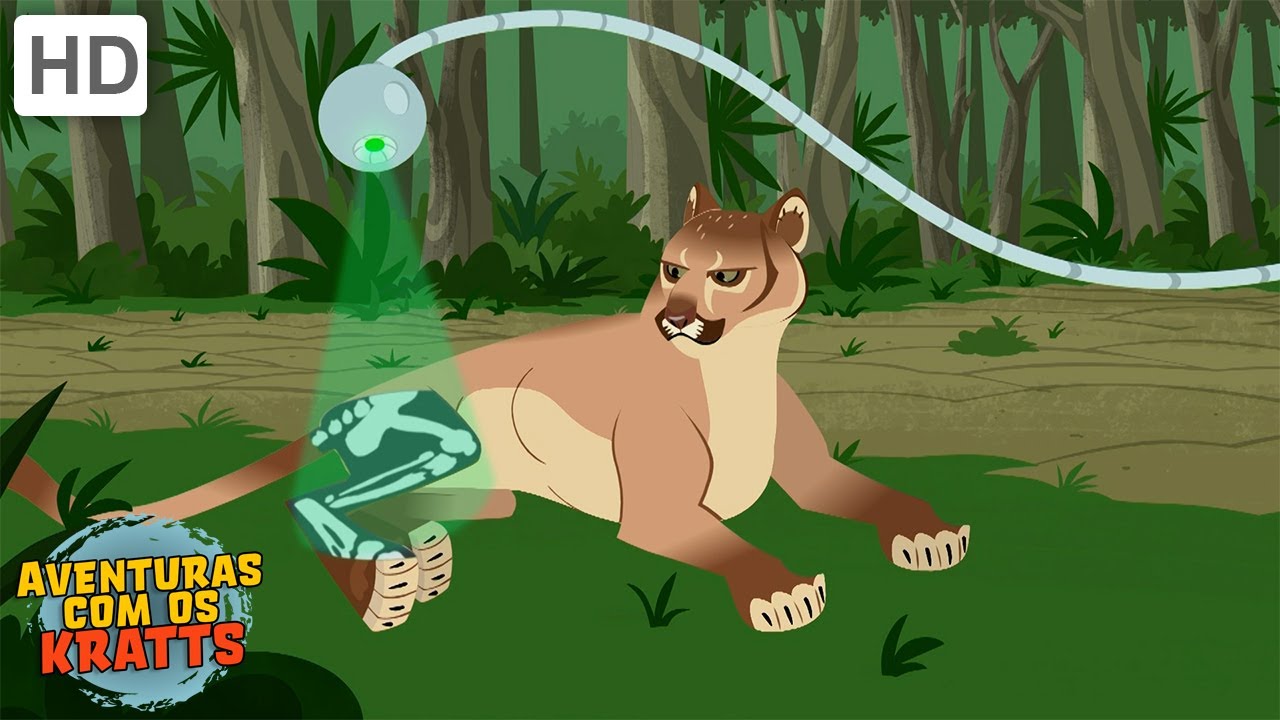 O melhor da terceira temporada [episódios completos] Aventuras com os Kratts