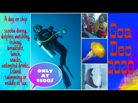 Goa unseen adventure not just beaches n parties | Offbeat places in Goa | Scuba Diving in Goa |