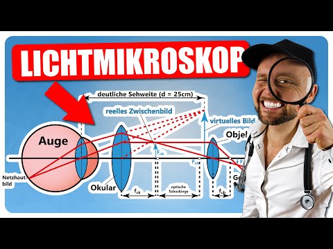 Lichtmikroskop - Aufbau, Strahlengang, numerische Apertur und Auflösung