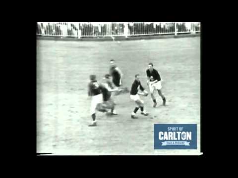 Ian Collins Highlights